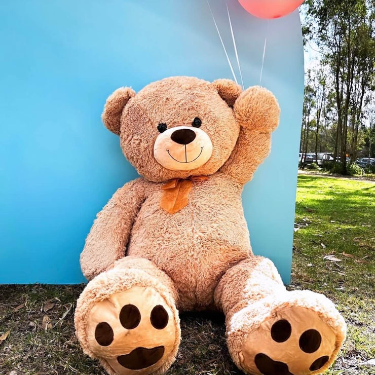 brown teddy bear sitting down at park holding balloons against blue backdrop