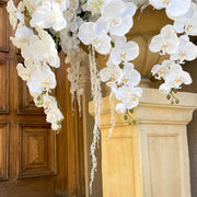 white orchids hanging down from pillar
