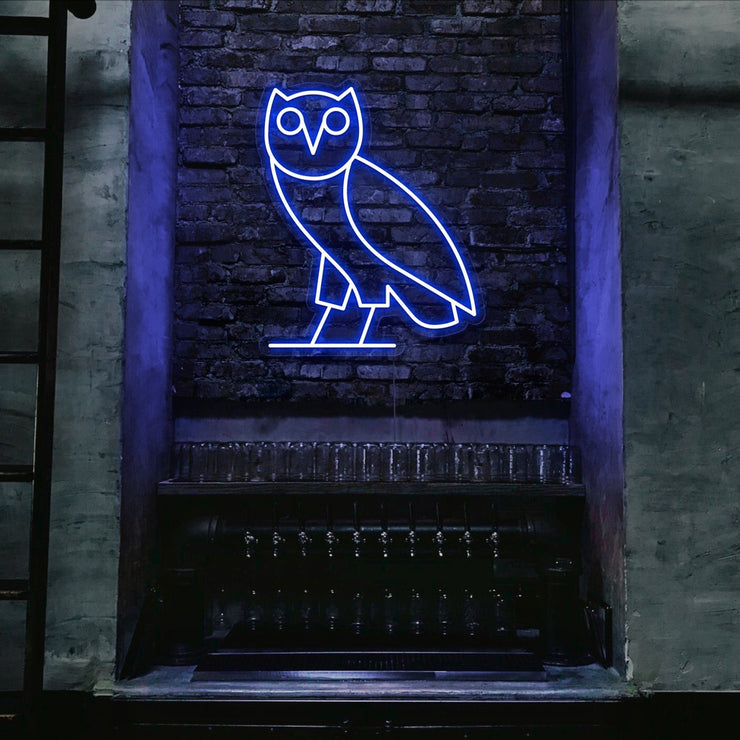 blue drake ovo owl neon sign hanging on bar wall