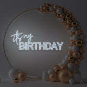 cold white it's my birthday neon sign hanging in gold hoop backdrop with balloons