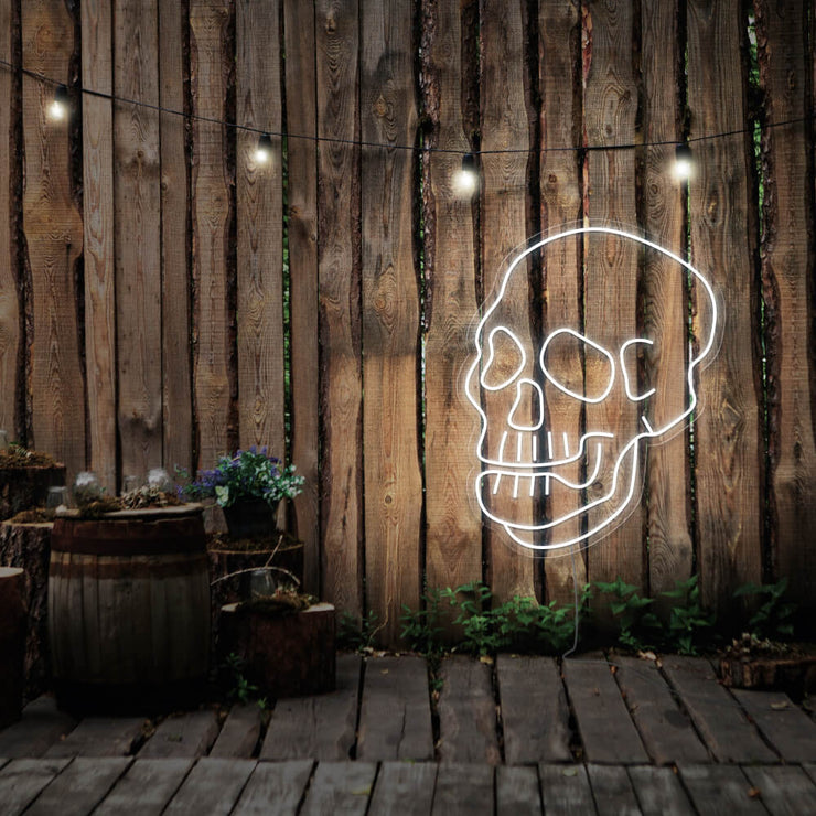 cold white skull neon sign hanging on timber fence