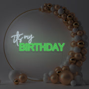 green it's my birthday neon sign hanging in gold hoop backdrop with balloons