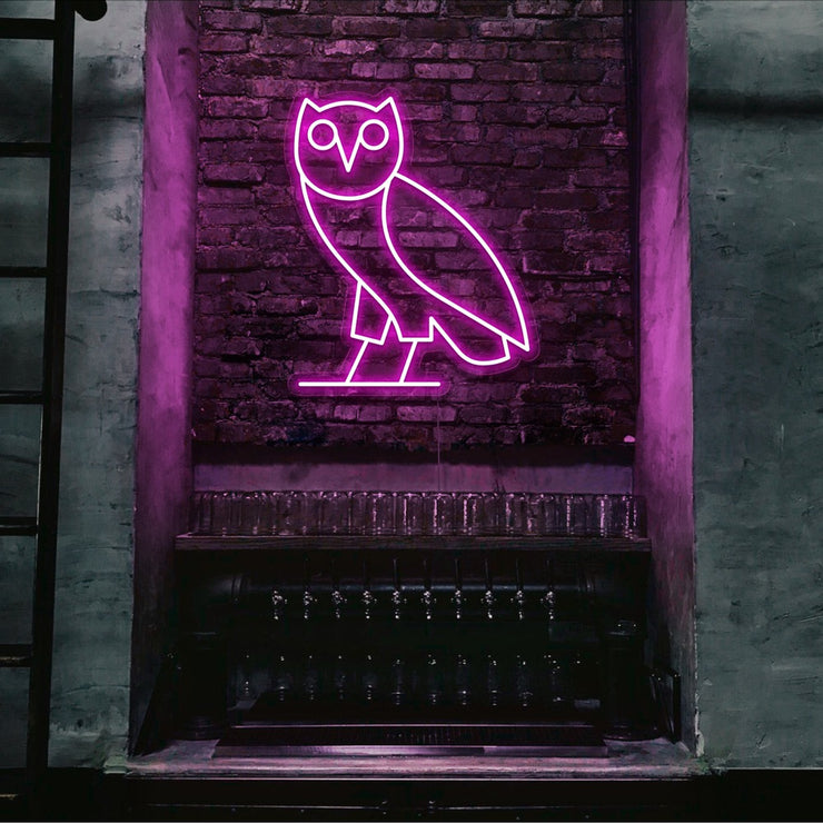 hot pink drake ovo owl neon sign hanging on bar wall