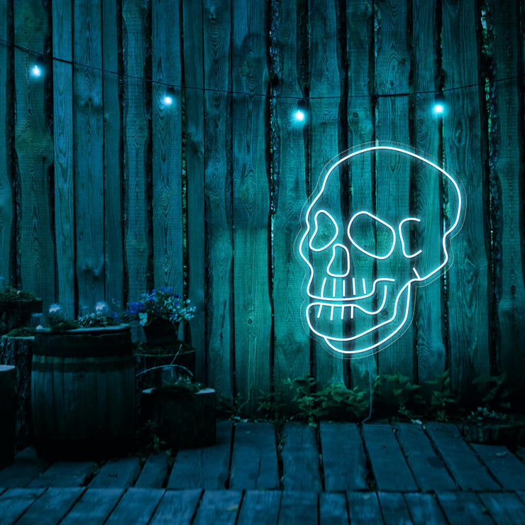 ice blue skull neon sign hanging on timber fence