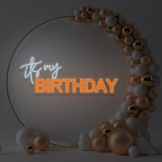 orange it's my birthday neon sign hanging in gold hoop backdrop with balloons