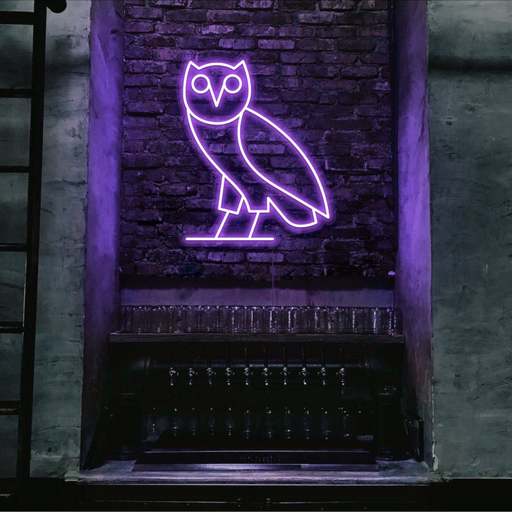 purple drake ovo owl neon sign hanging on bar wall